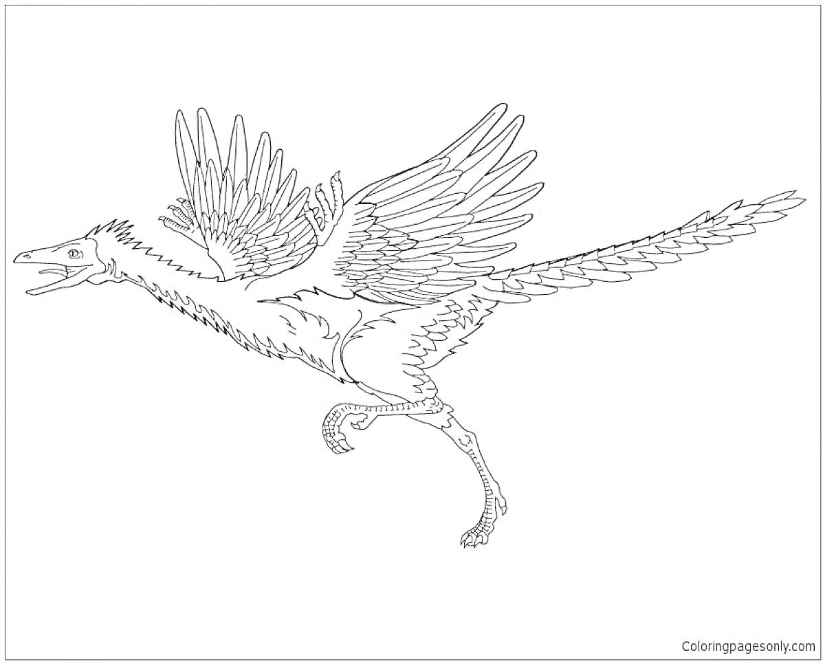 На раскраске изображено: Археоптерикс, Динозавр, Полет, Крылья, Хвост, Когти