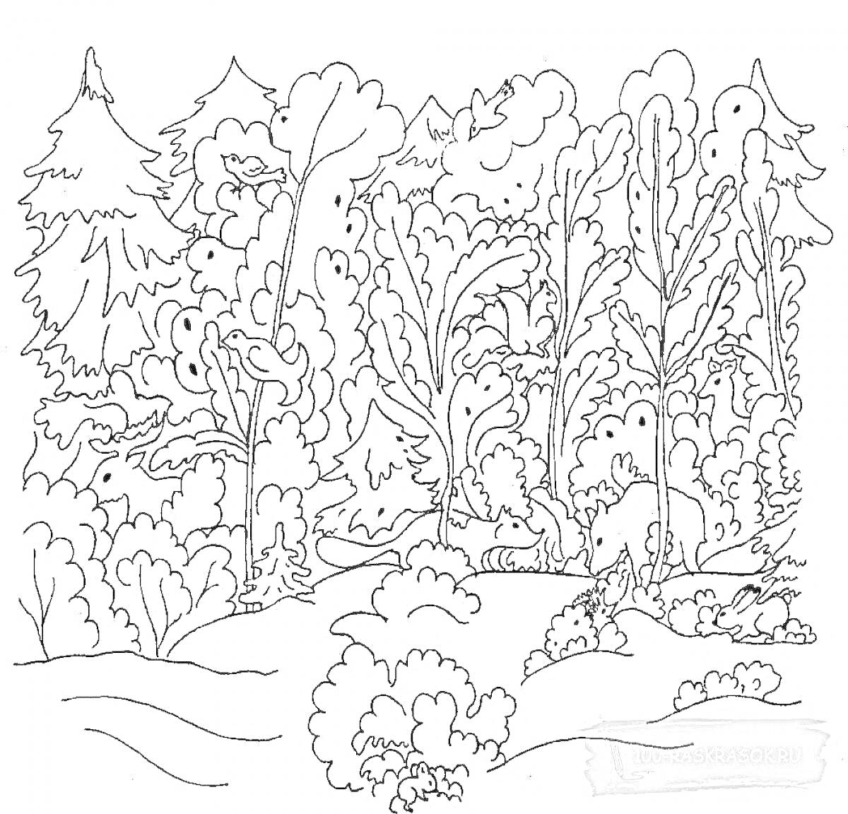 Раскраска Лес с деревьями, кустарниками и лисой