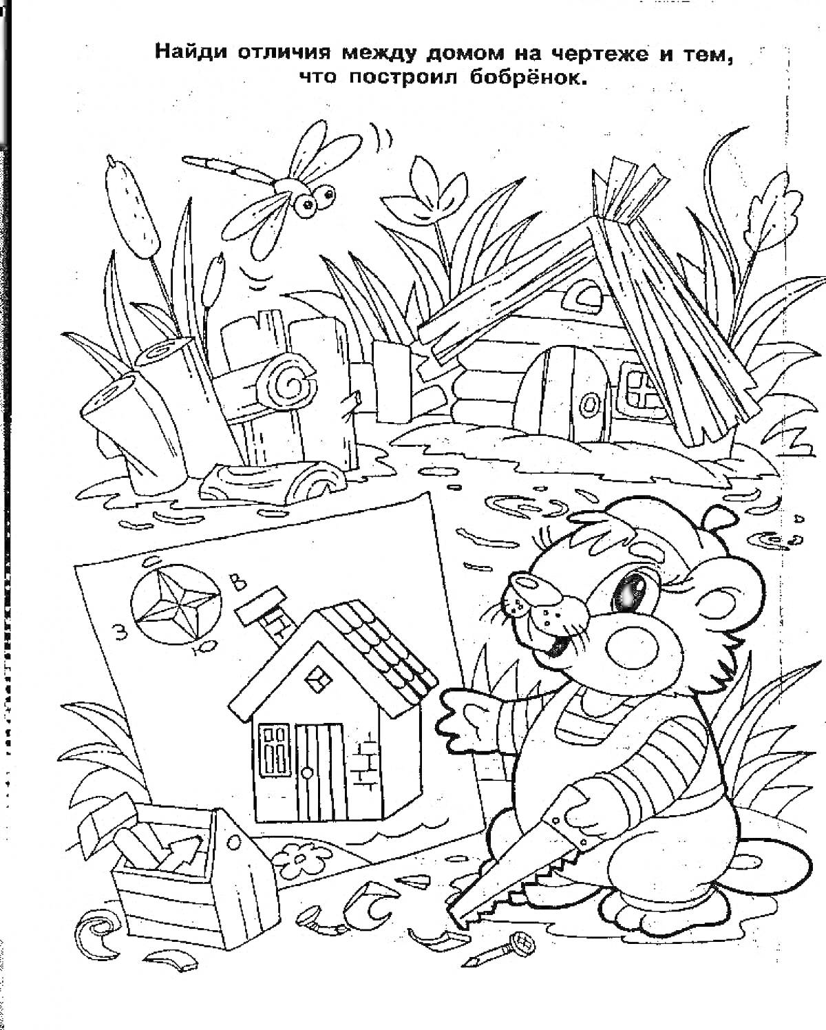 Раскраска Бобер с планом постройки перед хаткой и домик на чертеже