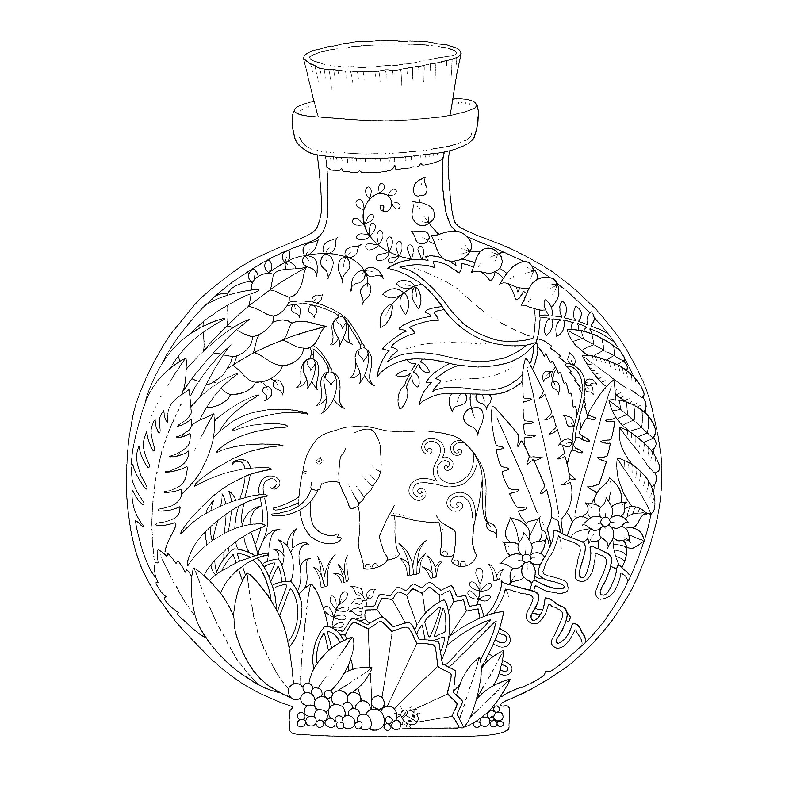 На раскраске изображено: Слон, Бутылка, Джунгли, Растения, Лоза, Листья, Цветы
