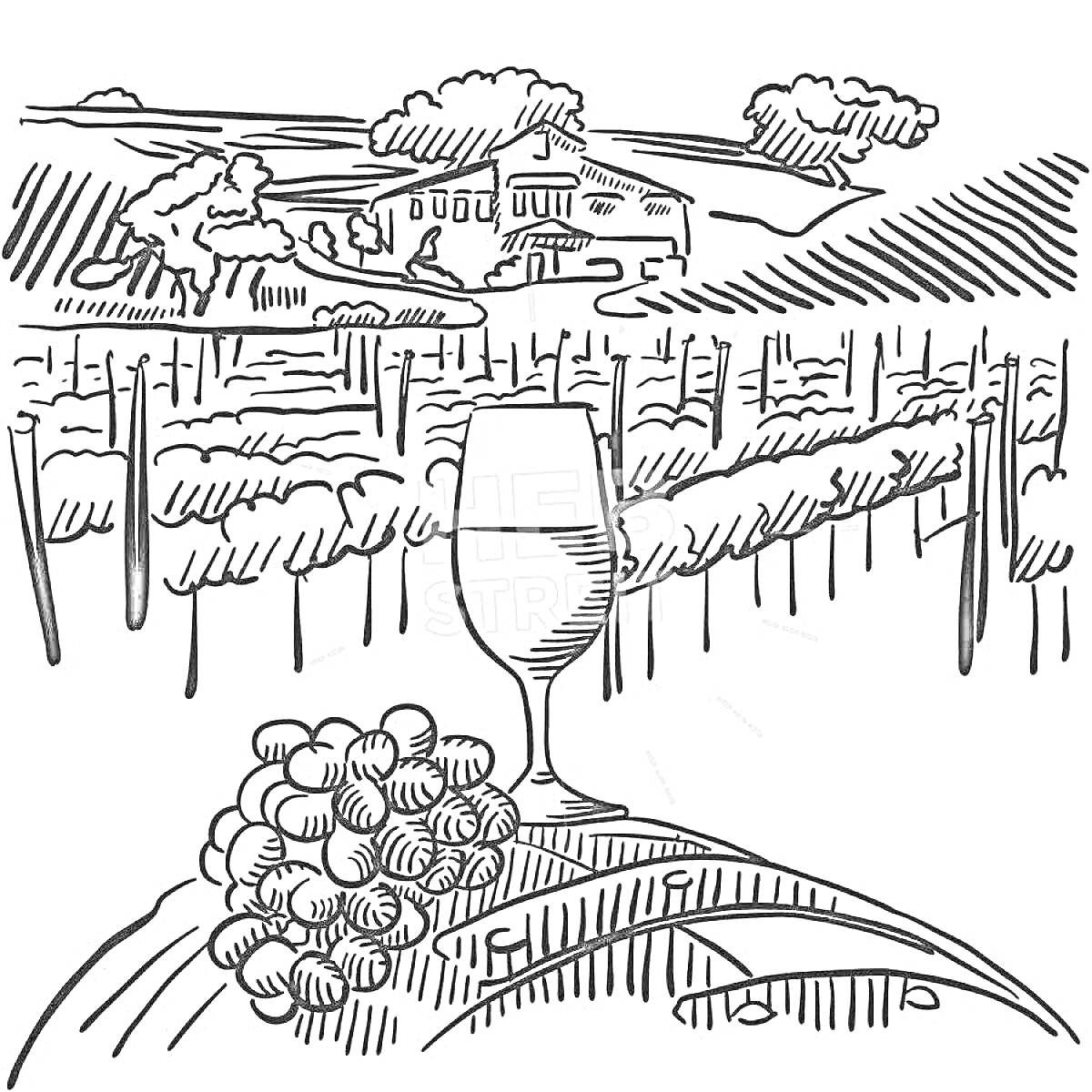 Раскраска Виноградники Грузии с бокалом вина и виноградной гроздью