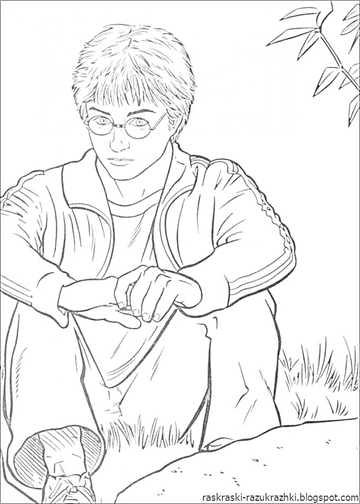 Раскраска Гарри Поттер сидит на траве, ветка дерева на фоне, камень возле ног