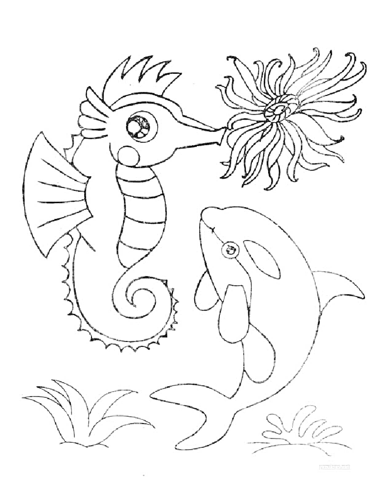 На раскраске изображено: Морской конек, Водоросли, Подводный мир, Дельфины, Морские животные