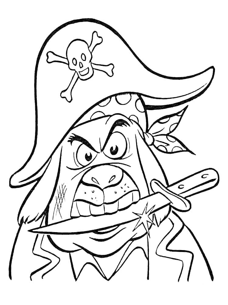 Раскраска Пират с ножом в зубах и шляпой с черепом и скрещенными костями