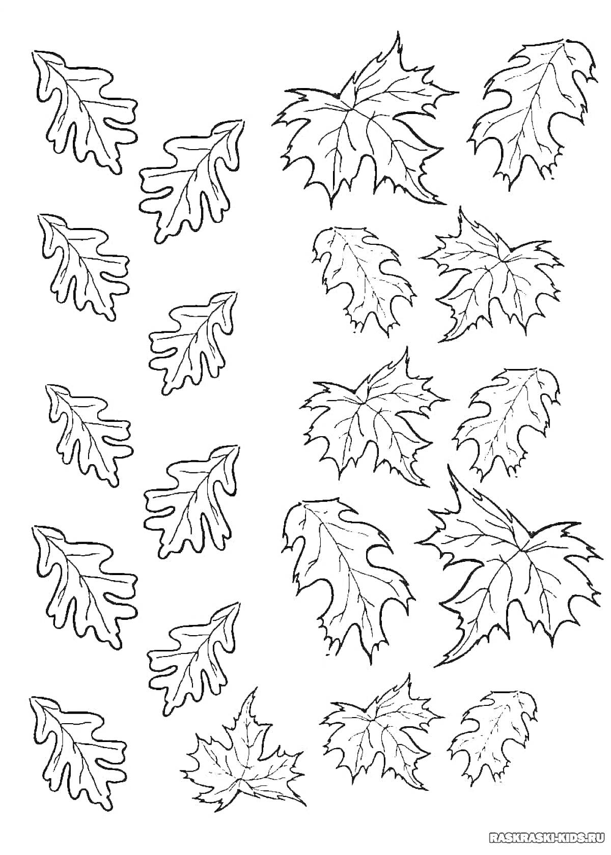 На раскраске изображено: Листья, Осень, Кленовые листья, Творчество, Декоративные элементы, Шаблоны