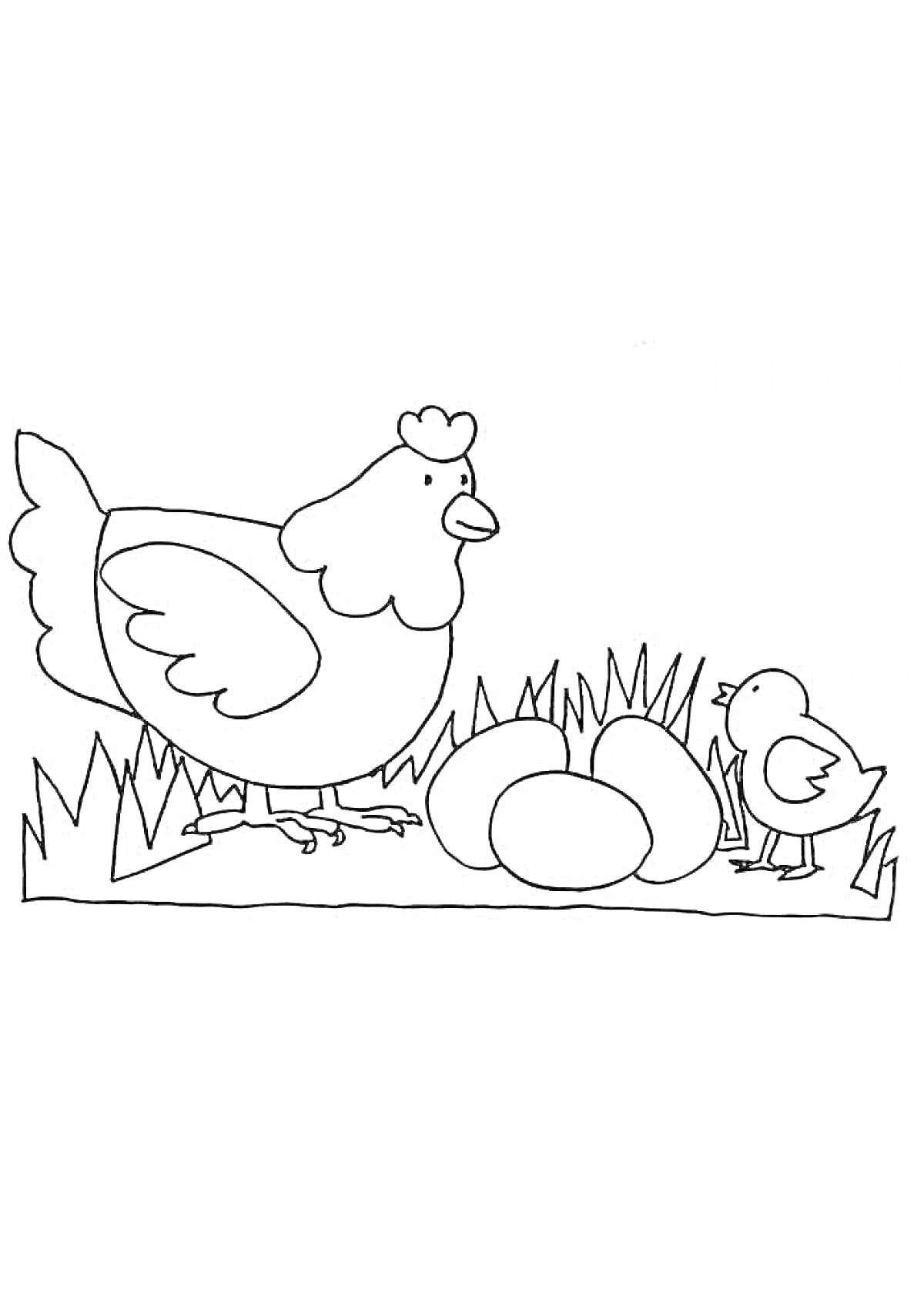 Раскраска курица с цыпленком и яйцами на траве