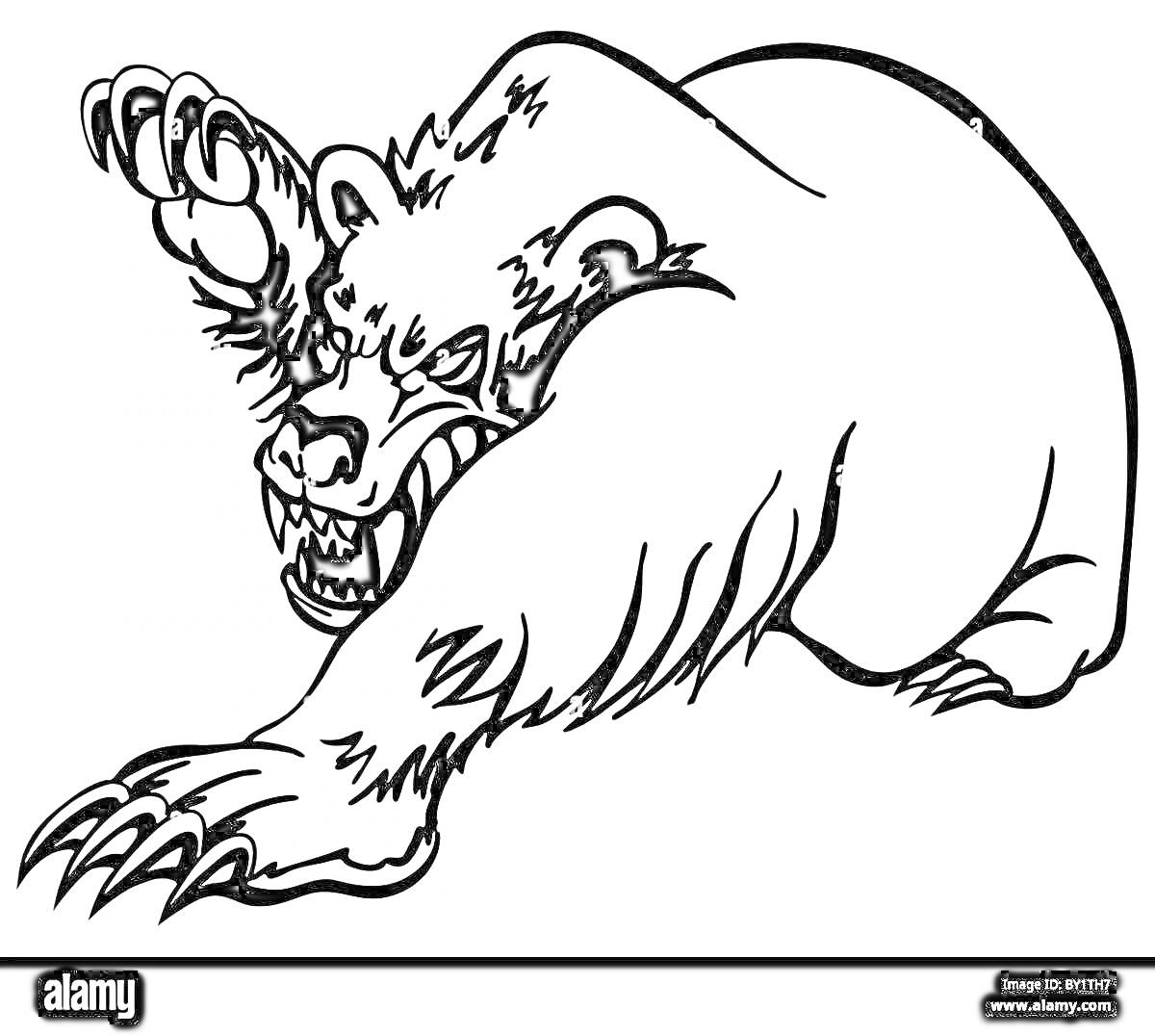 На раскраске изображено: Медведь, Агрессивный, Оскаленные зубы, Поднятая лапа, Нападение