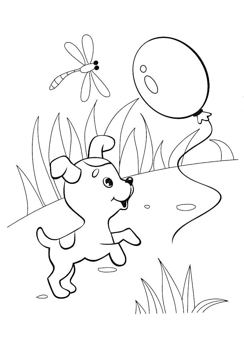 На раскраске изображено: Трава, Природа, Воздушные шары, Луг, Стрекозы, Собака