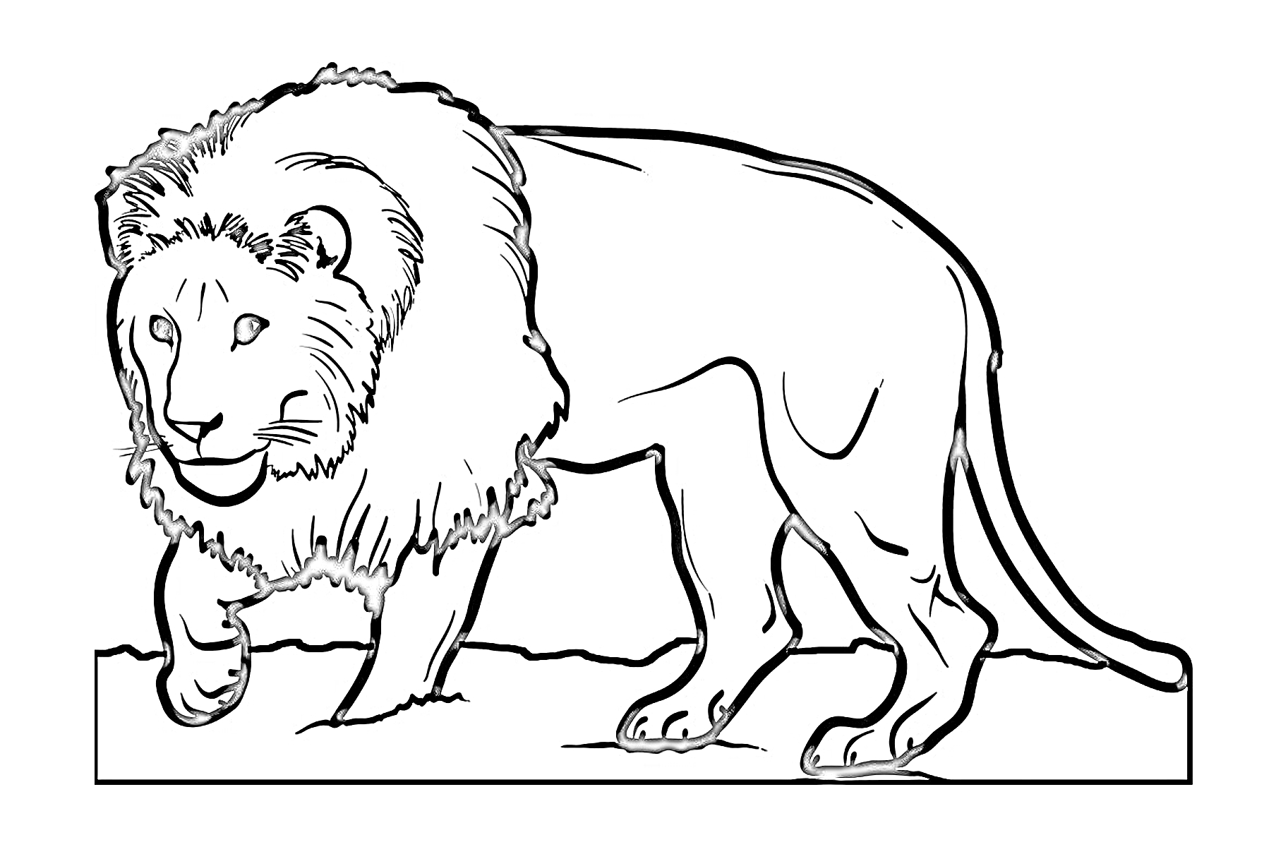 На раскраске изображено: Лев, Природа, Дикая кошка, Млекопитающее, Африка