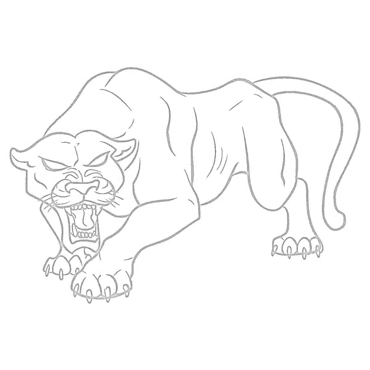 На раскраске изображено: Пантера, Большая кошка, Животные, Охота, Дикая природа, Хищники