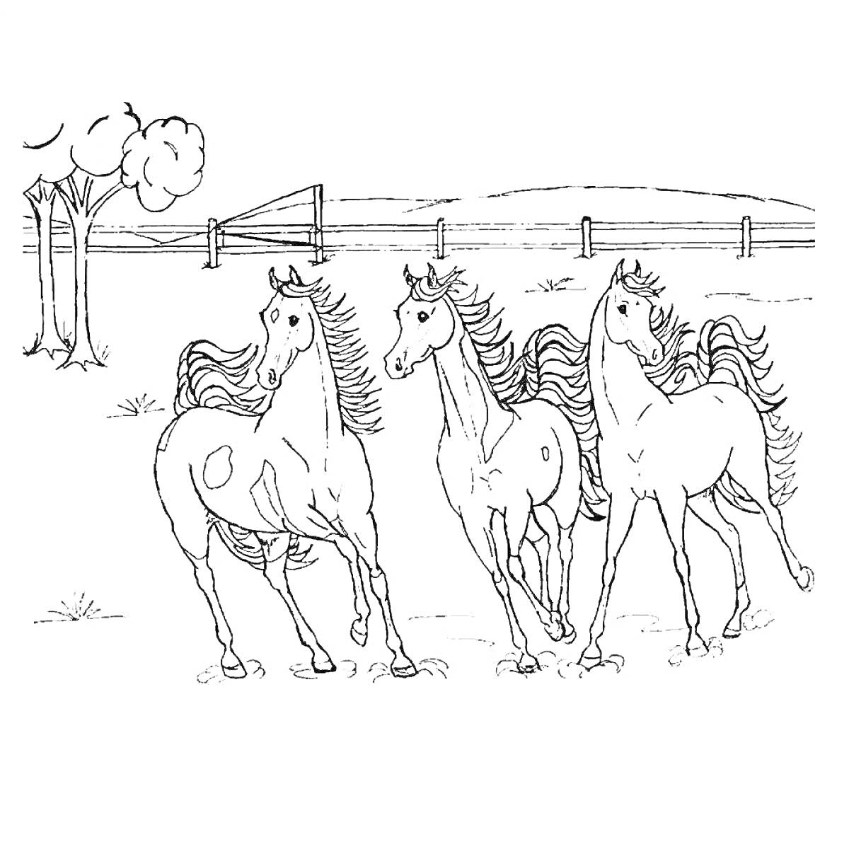 На раскраске изображено: Луг, Деревья, Забор, Природа, Ветер, Бегущие лошади