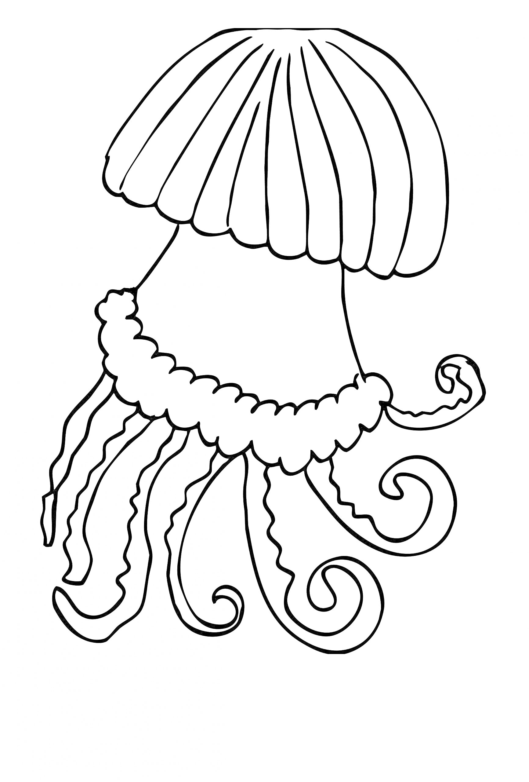 Раскраска Медуза с вытянутым куполом и изогнутыми щупальцами