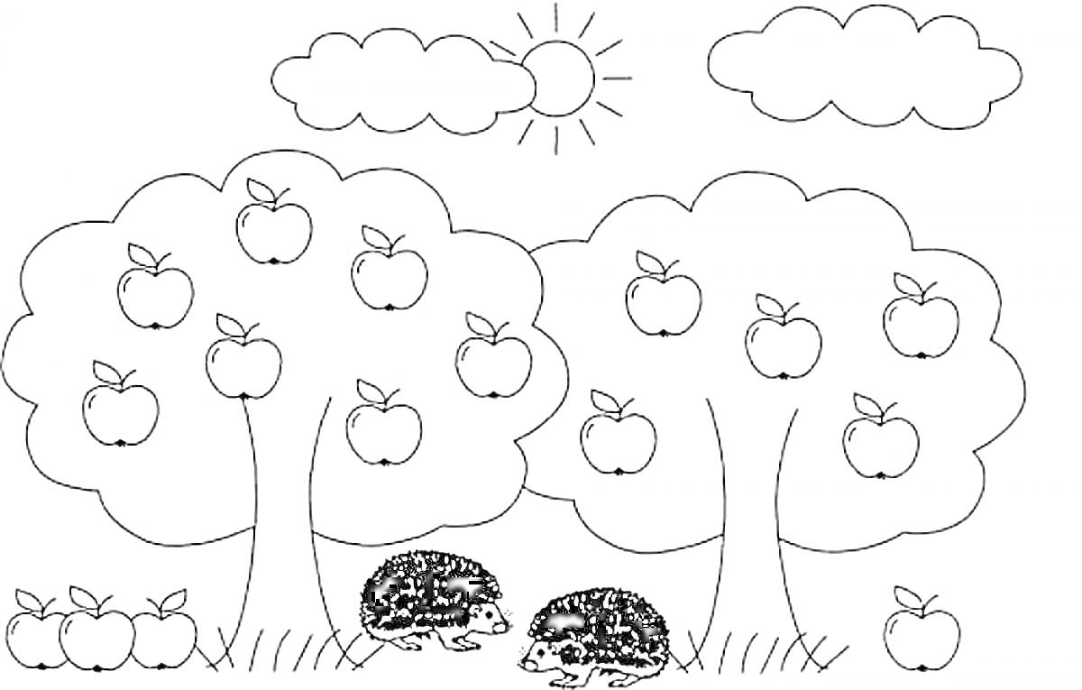 Раскраска две яблони с яблоками, два ёжика, трава, яблоки на земле, солнце, два облака