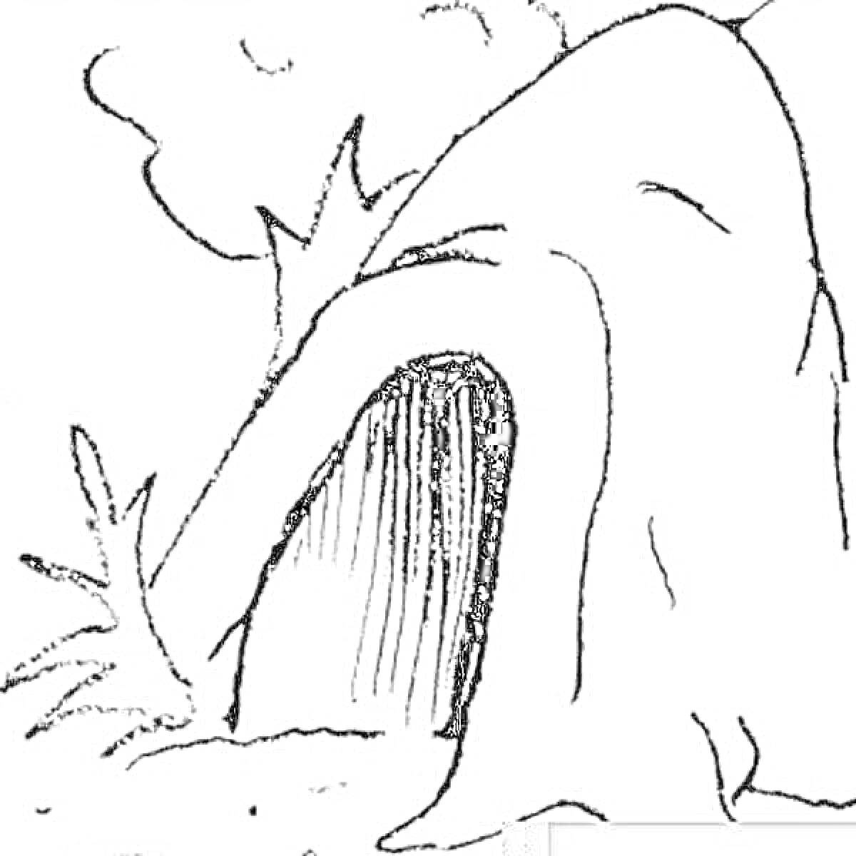 Раскраска Пещера с деревом и кустом на входе