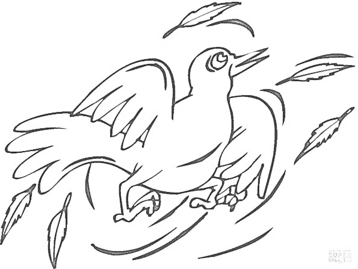 Раскраска Воробей с растрепанным оперением среди падающих перьев