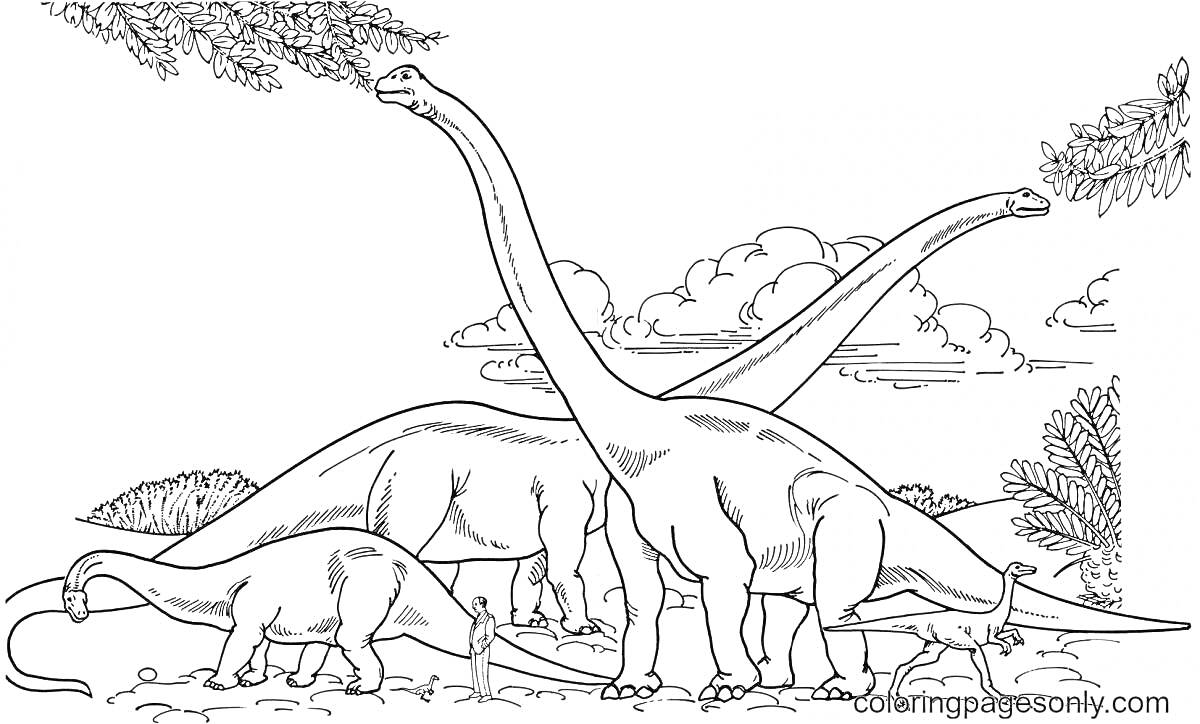 Раскраска Бронтозавры в лесу, на заднем плане облака и кусты