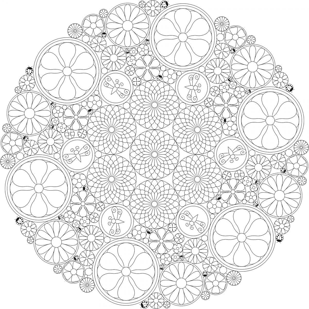 Круговая антистресс-раскраска с цветами и бабочками
