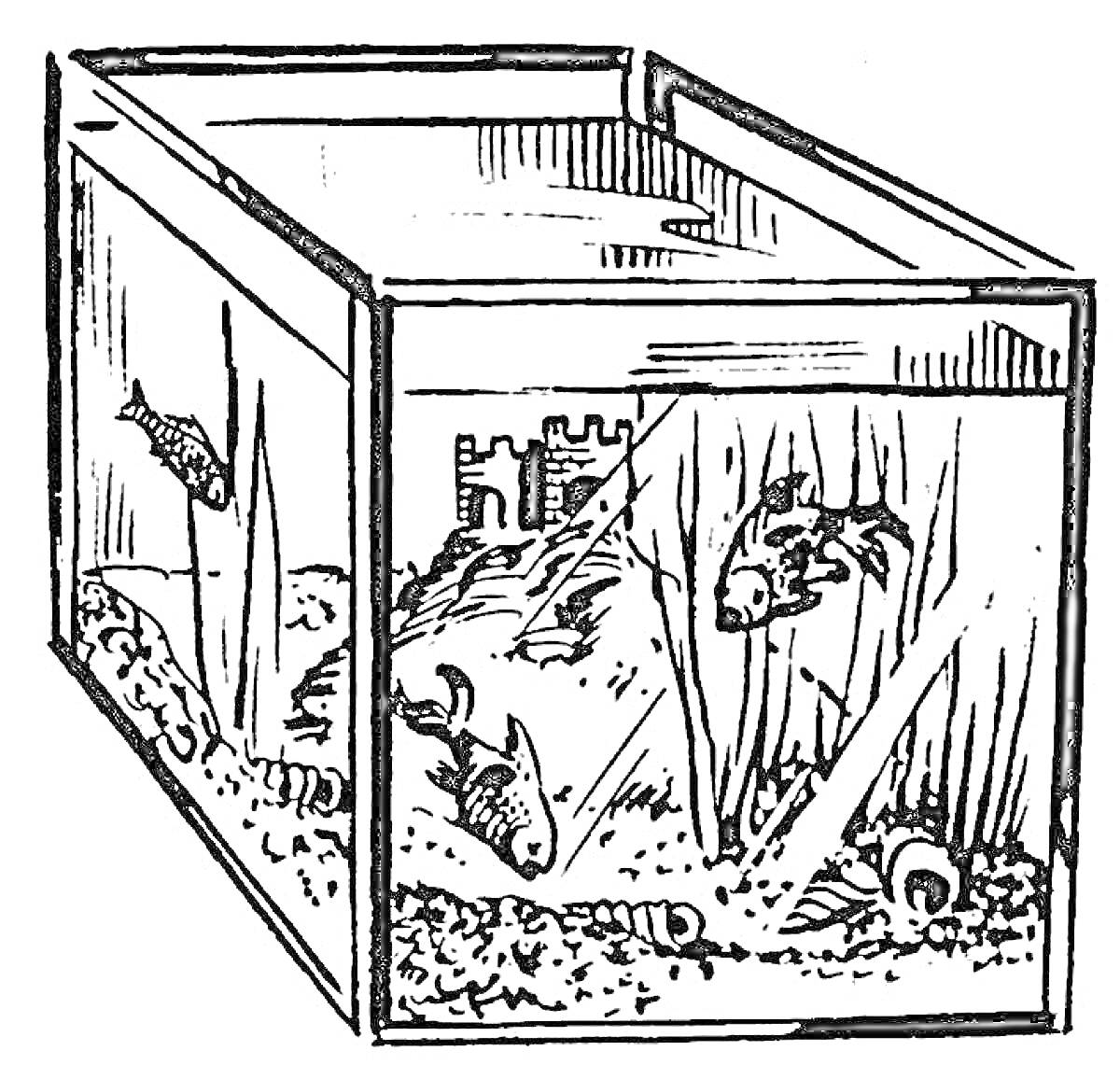 Раскраска Аквариум с рыбками, замком, растениями и декоративными элементами