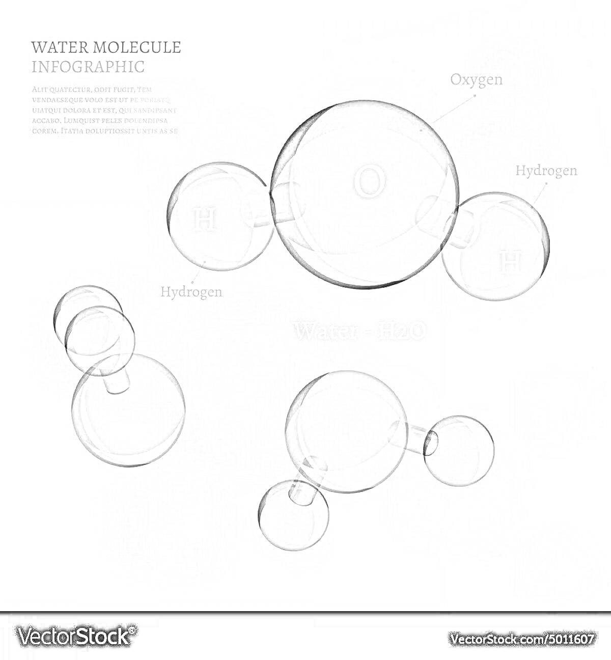 Раскраска Схема молекулы воды с обозначением элементов водорода и кислорода