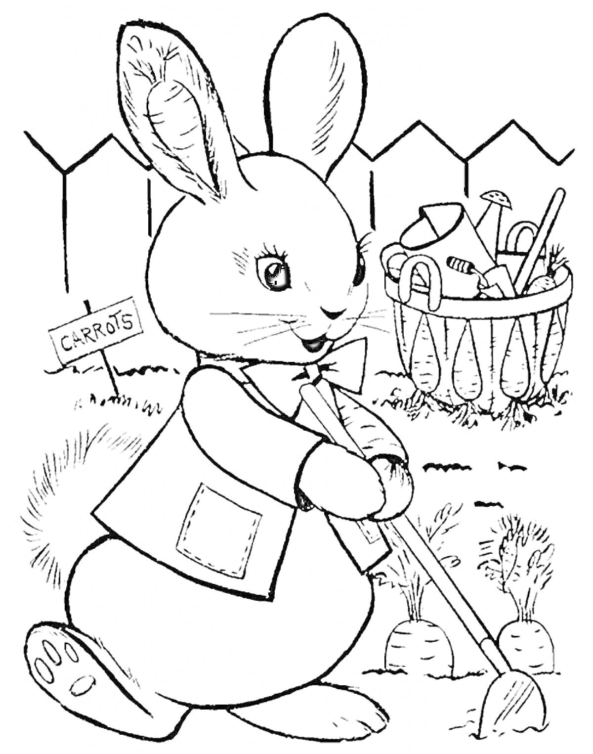 Раскраска кролик на огороде с инструментами и табличкой с морковью