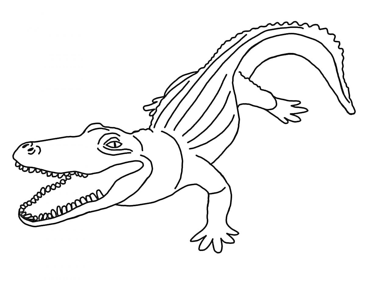 На раскраске изображено: Крокодил, Животные, Для детей, Открытая пасть, Контурное изображение, Рептилии