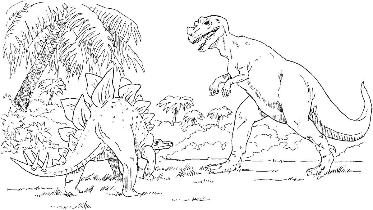 На раскраске изображено: Тирекс, Стегозавр, Джунгли, Деревья, Природа, Динозавр, Доисторическая эпоха
