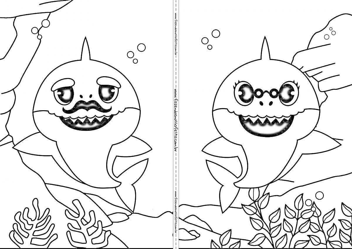 На раскраске изображено: Baby Shark, Подводный мир, Два персонажа, Растения, Веселые лица, Для детей, Пузыри