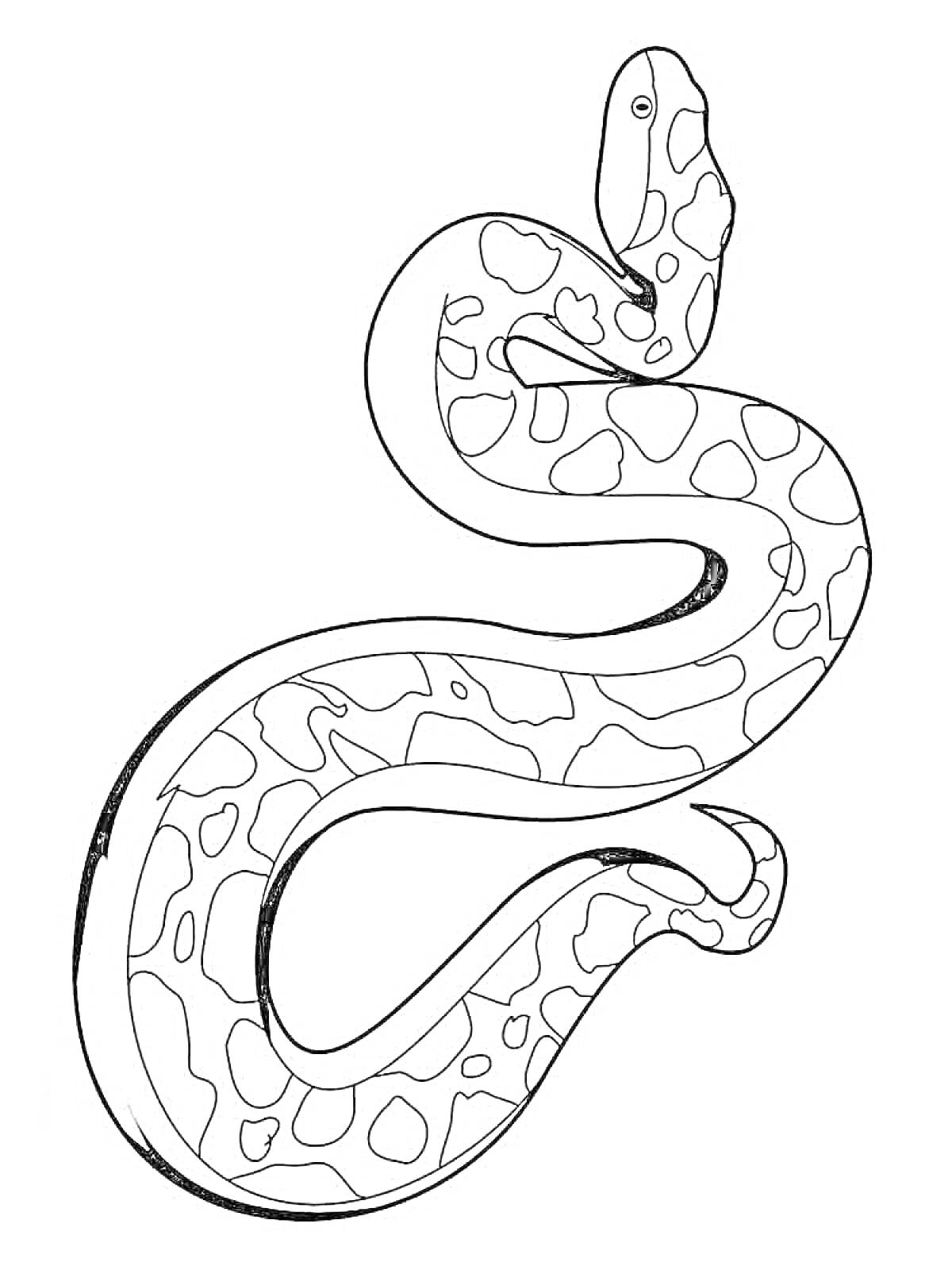 Раскраска Раскраска змейка с пятнистой кожей