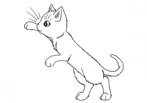Раскраска маленький котик