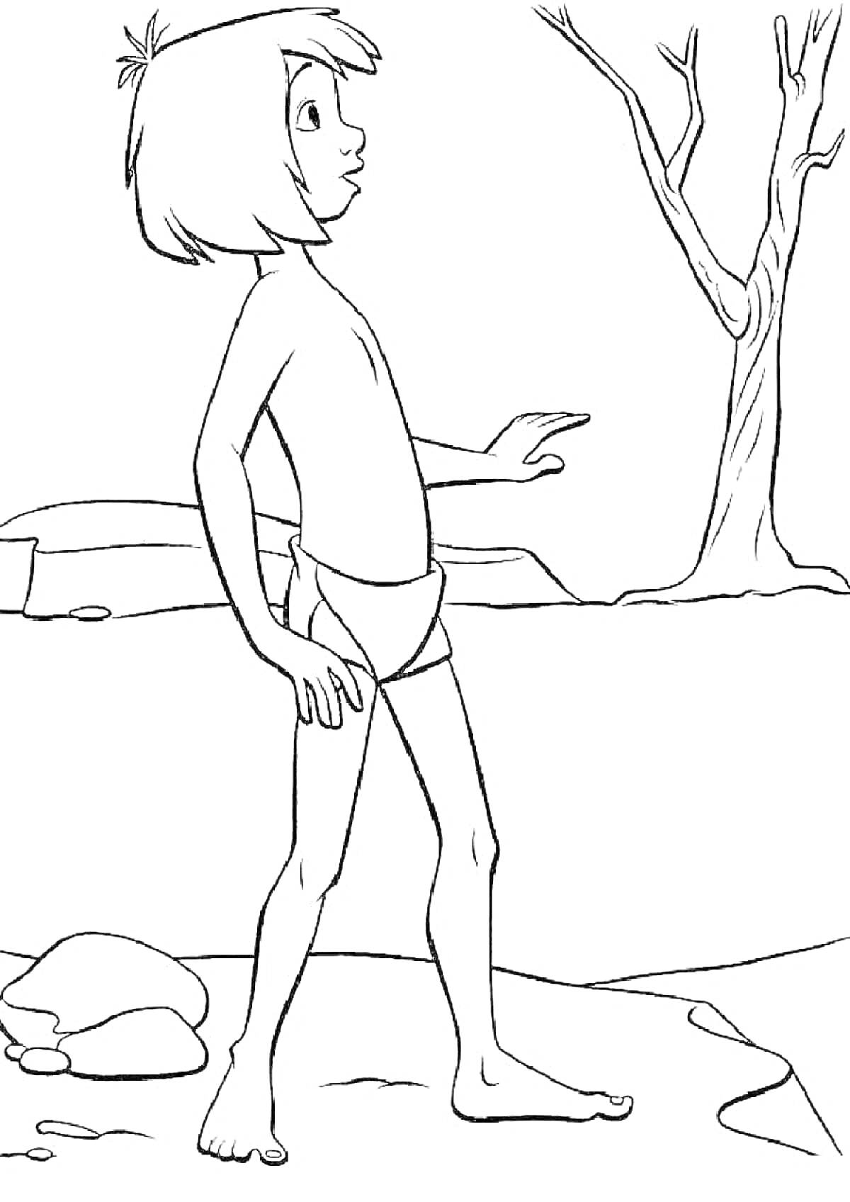 На раскраске изображено: Мальчик, Книга джунглей, Голые ветви, Камни, Земля