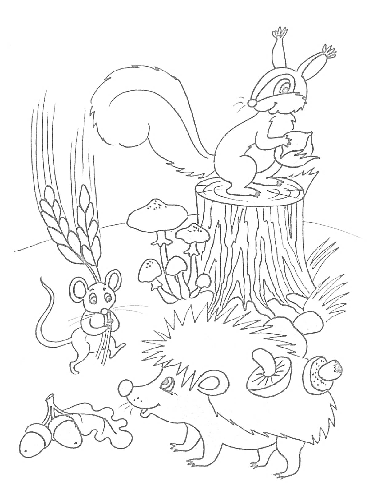 Раскраска Белка на пне, мышка, еж с грибами, колосья, грибы и желуди
