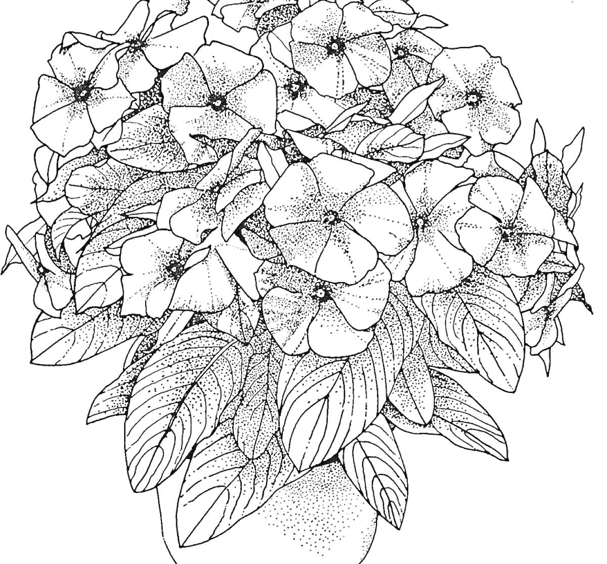 Раскраска Цветочный горшок с распустившимися цветами и листьями