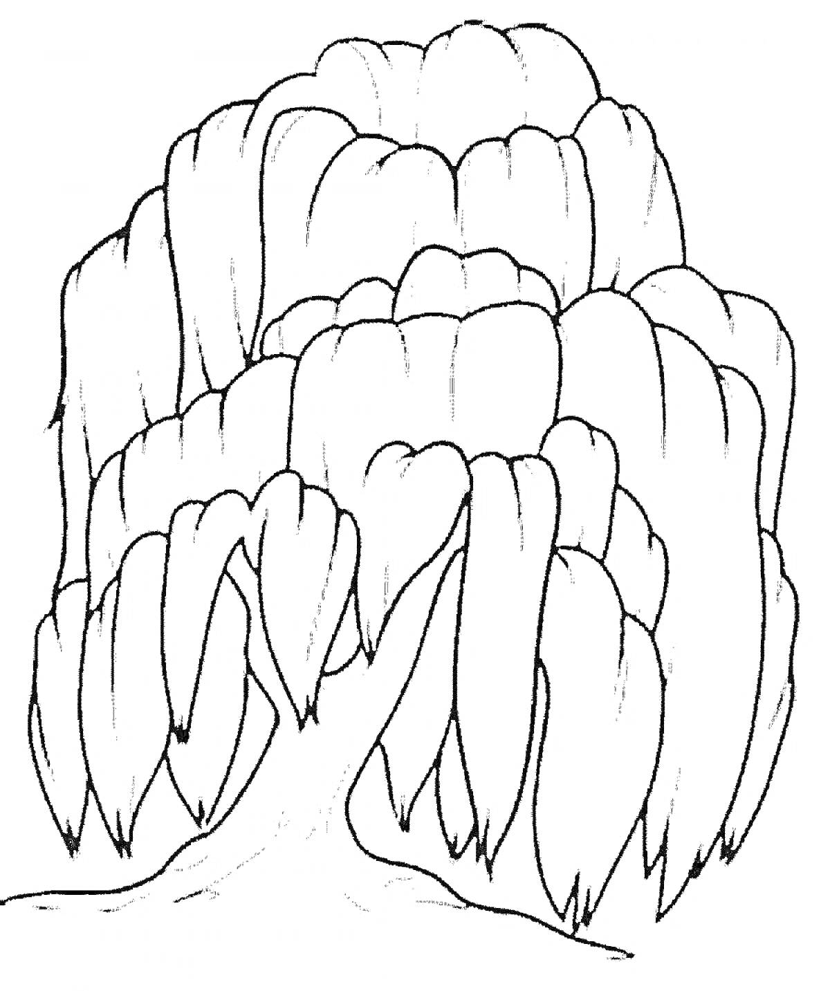 Раскраска с плакучей ивой для детей