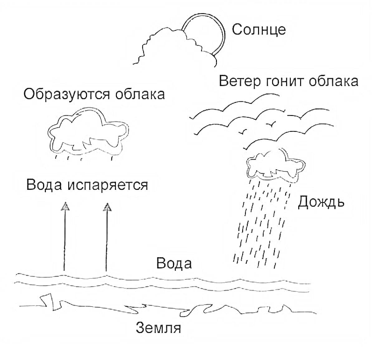 Раскраска Круговорот воды в природе: солнце, образуются облака, ветер гонит облака, дождь, вода испаряется, вода, земля