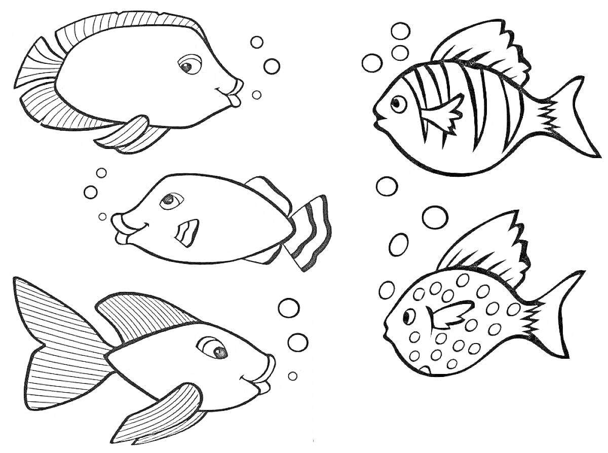 Рыбки плавают в аквариуме с пузырьками