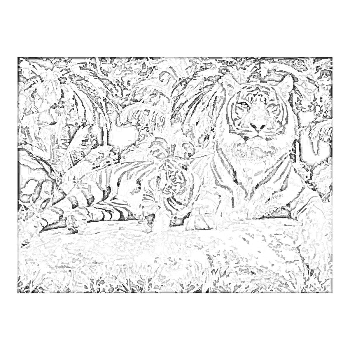 Раскраска Раскраска по номерам с изображением взрослого тигра и тигренка на фоне джунглей, сидящих на камне.