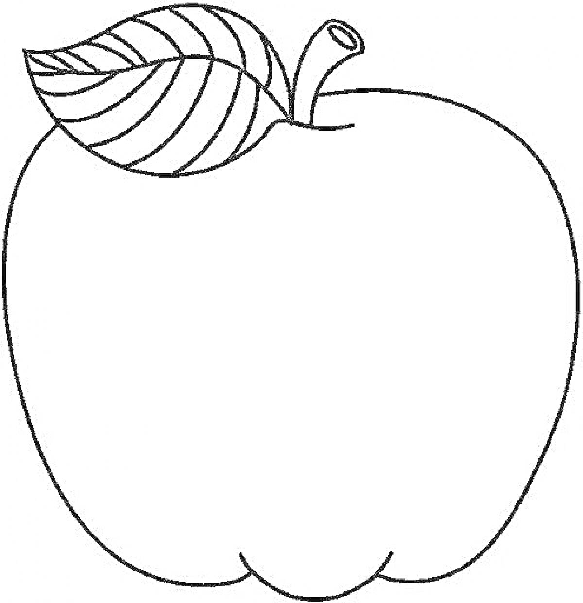 На раскраске изображено: Яблоко, Листья, Фрукты, Контурные рисунки, 5-6 лет