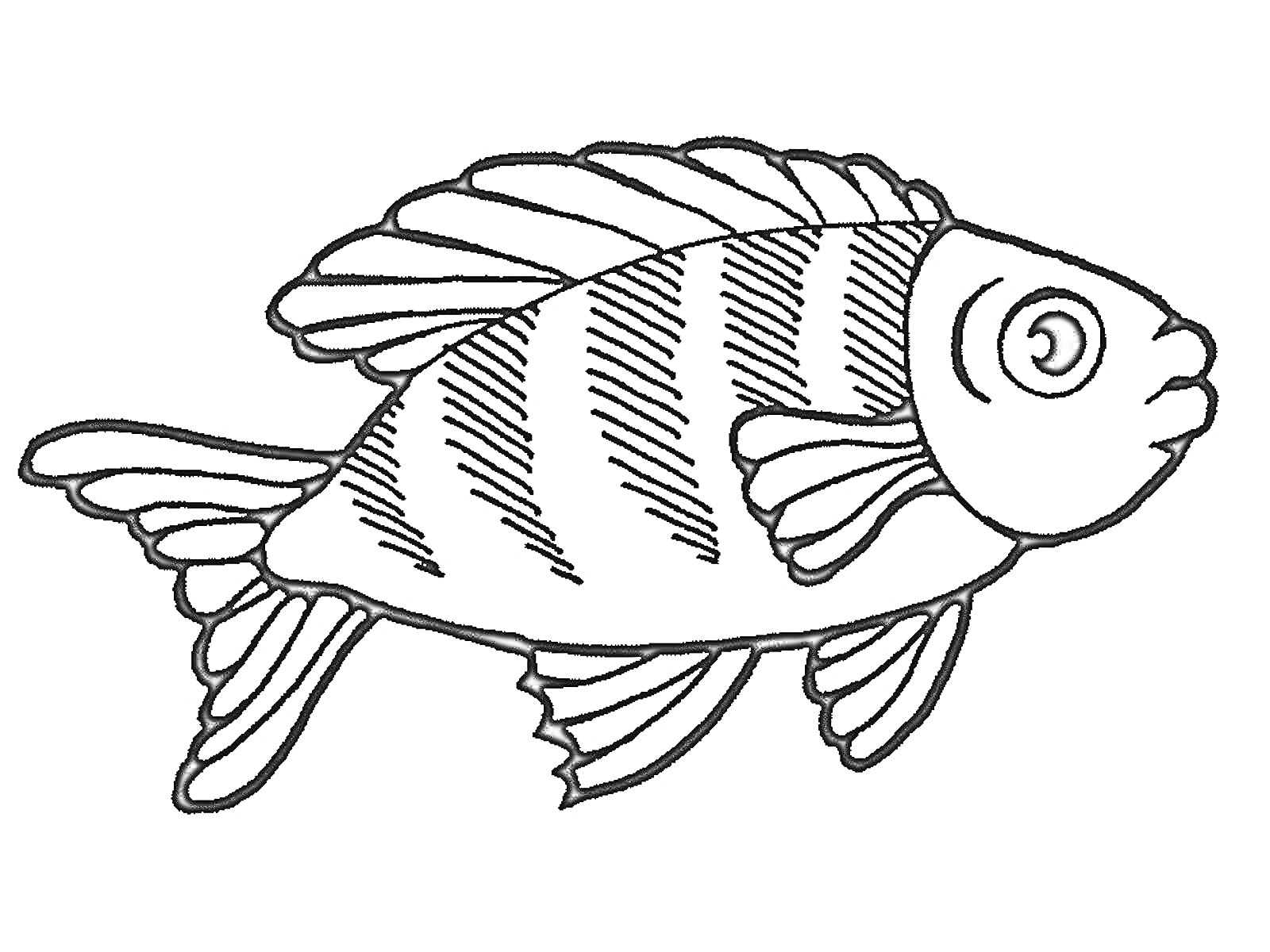 Раскраска Рыбка с полосатым телом и большими глазами