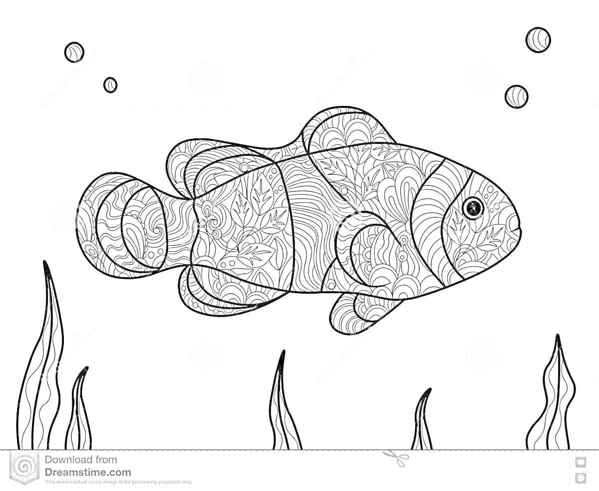 Раскраска Рыба клоун с узором, плавающая среди водорослей и пузырьков