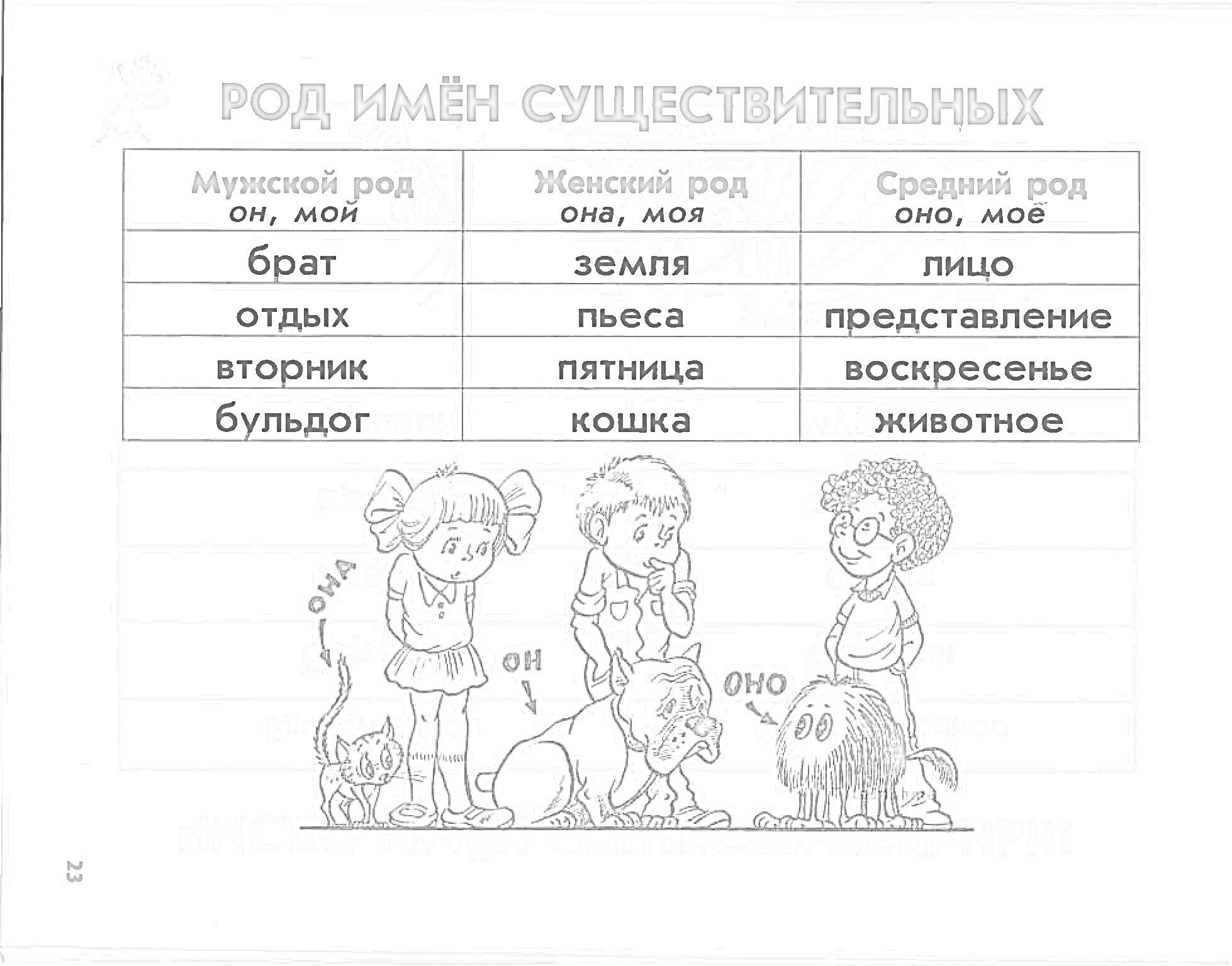 На раскраске изображено: Род, Имена существительные, Средний род, Мальчик, Девочка, Женщина, Кот, Собака, Бульдог, Русский язык, Грамматика