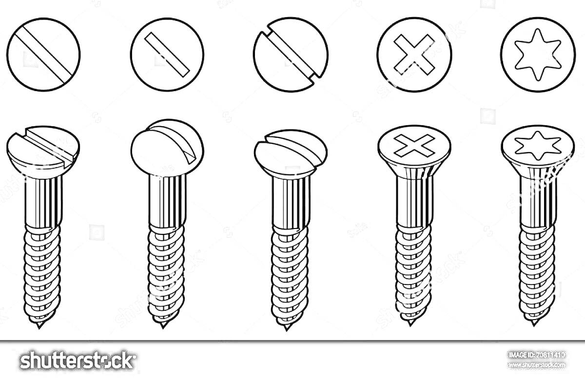 Винты с разными типами шляпок и резьбой