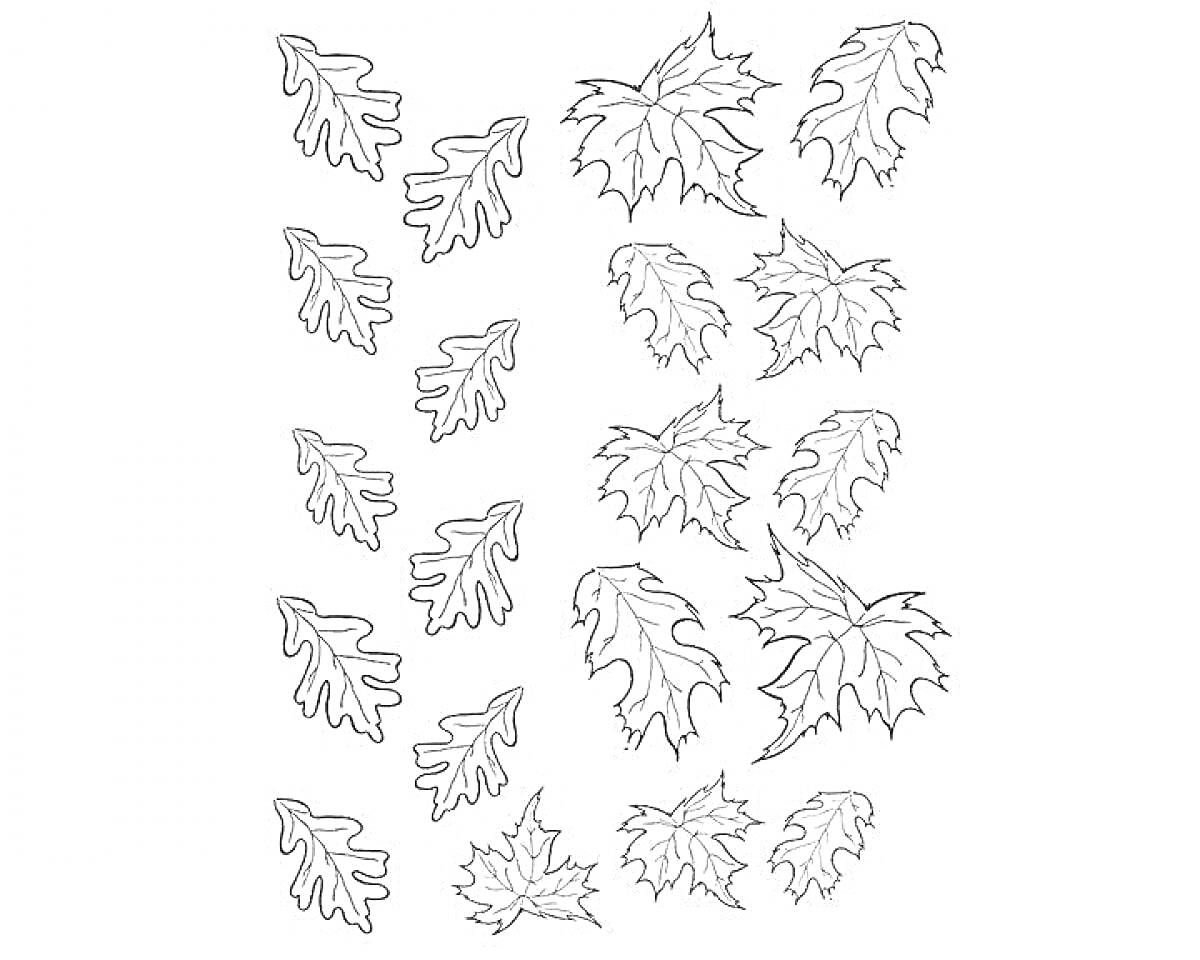 На раскраске изображено: Листопад, Осень, Листья, Кленовые листья, Дубовые листья, Природа