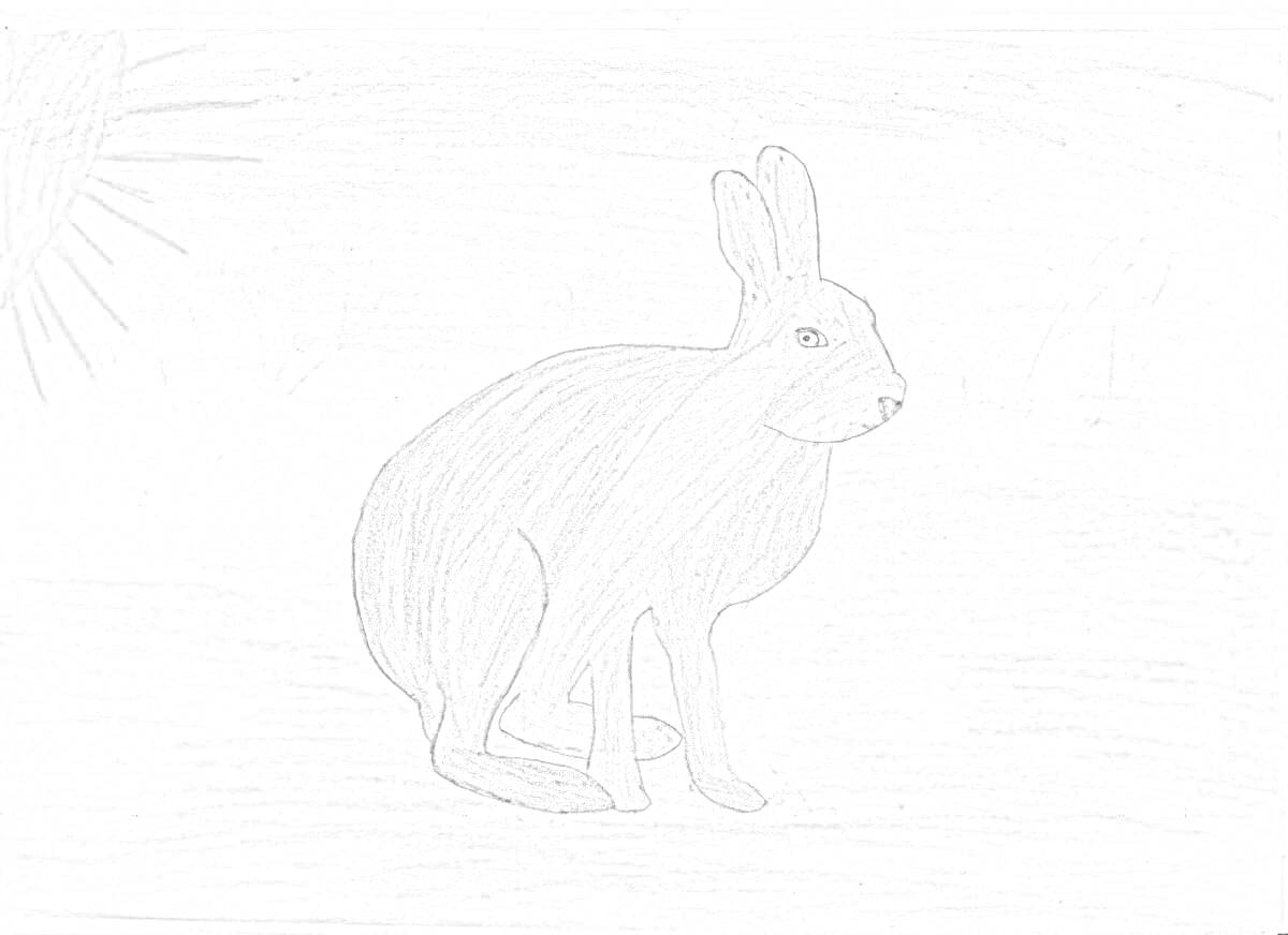 На раскраске изображено: Заяц, Поле, Солнце, Природа, Животные