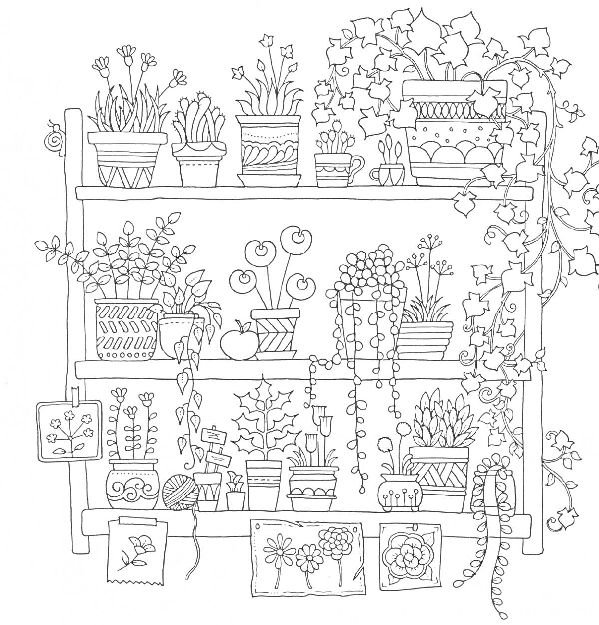 Раскраска Цветочный сад с полками, горшками, цветами и декоративными элементами