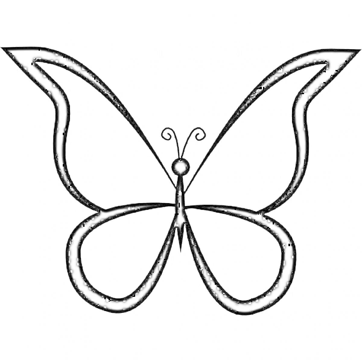 Раскраска контур бабочки с закругленными крыльями и антеннами