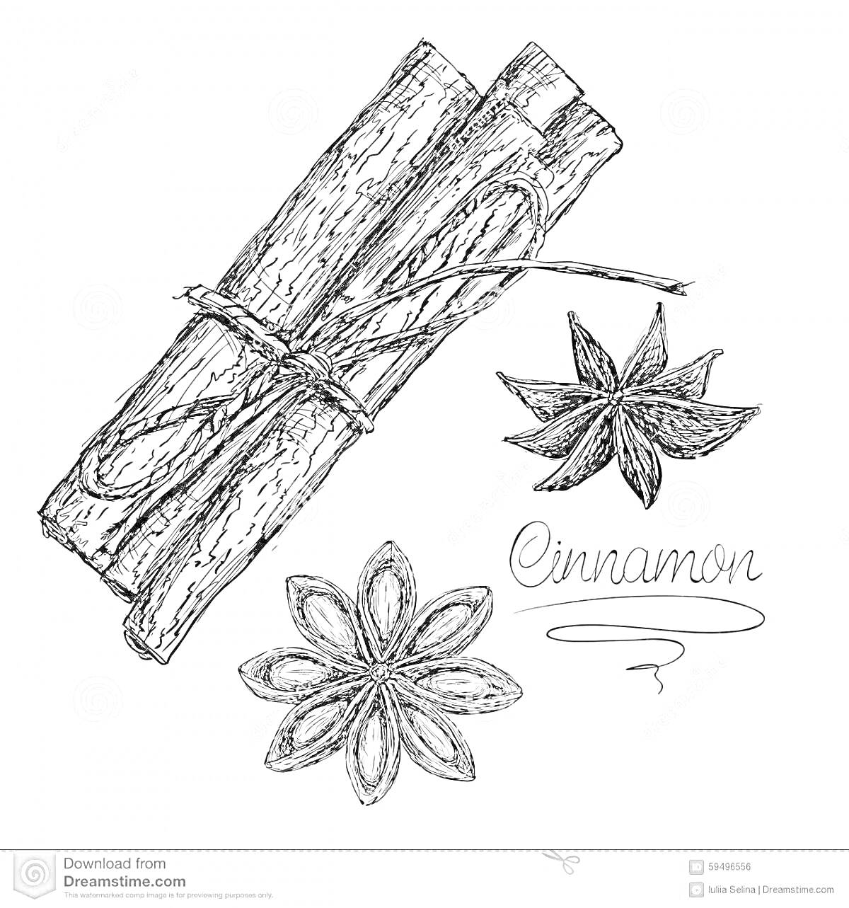 Раскраска Два стручка корицы, две звезды аниса и надпись 