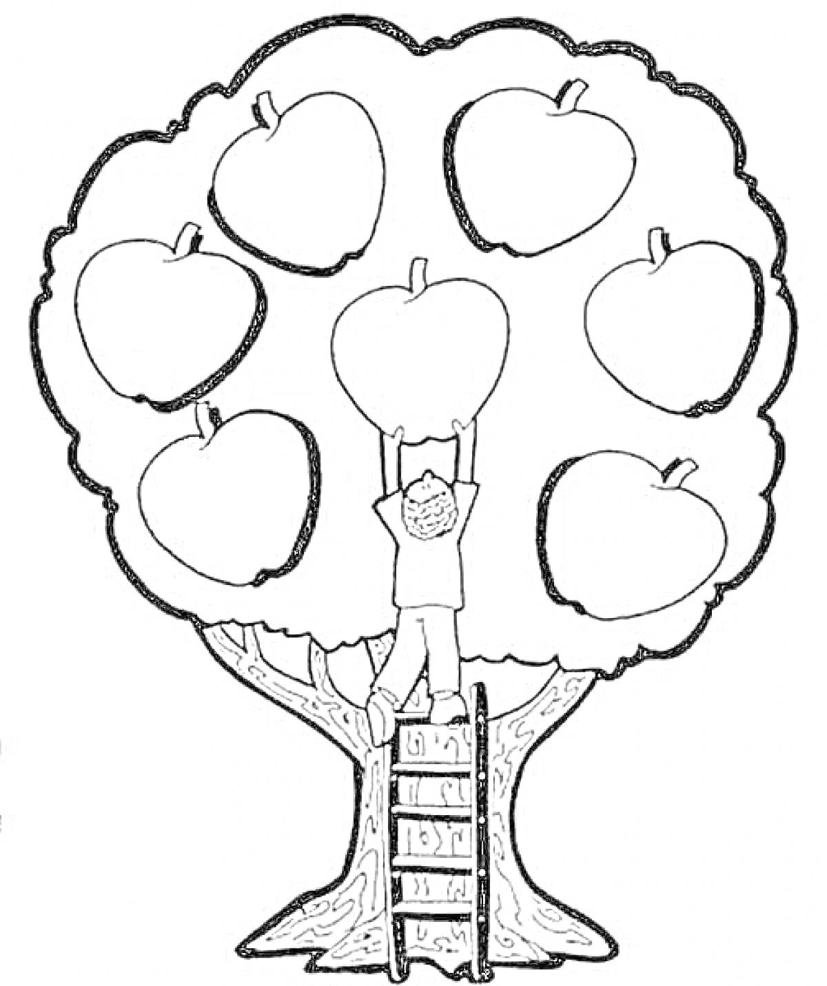 Раскраска Родословное дерево с яблоками, человек, стоящий на лестнице и держащий яблоко