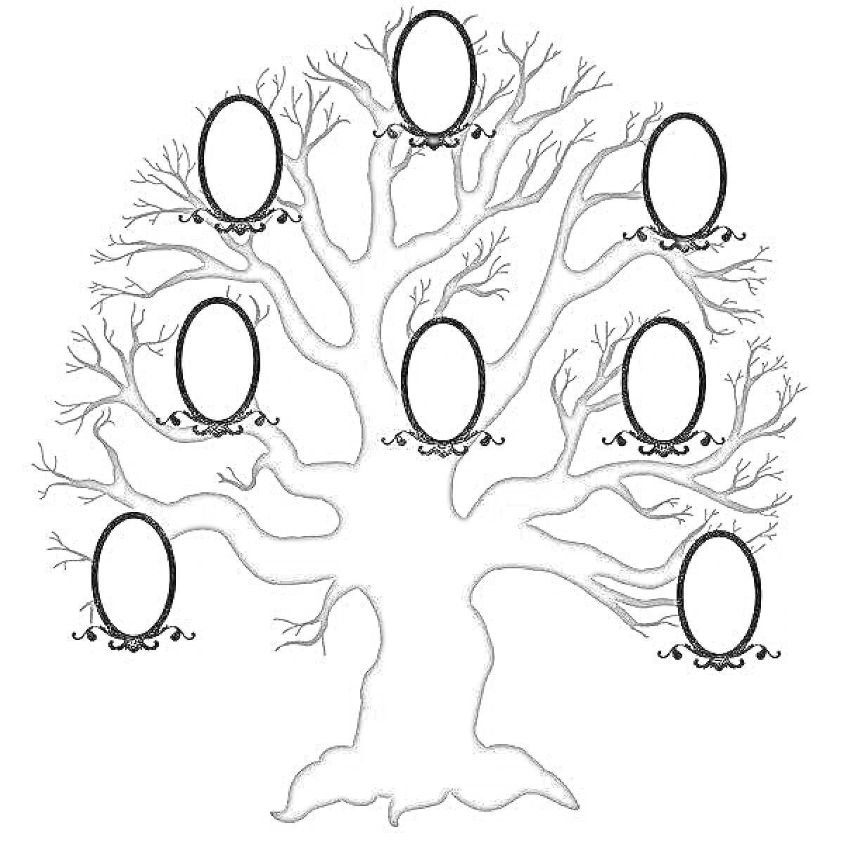 Раскраска Родословное дерево с восемью овальными рамками для фотографий