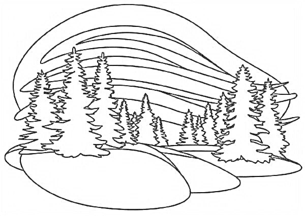 Раскраска Северное сияние над лесом, деревья на переднем плане, холмы и вид сияния на заднем плане