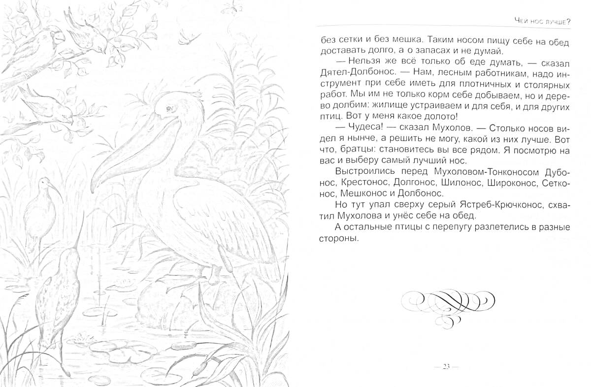 Раскраска Раскраска с изображением пеликана и цапель, текст из сказки Чей нос лучше? Виталия Бианки